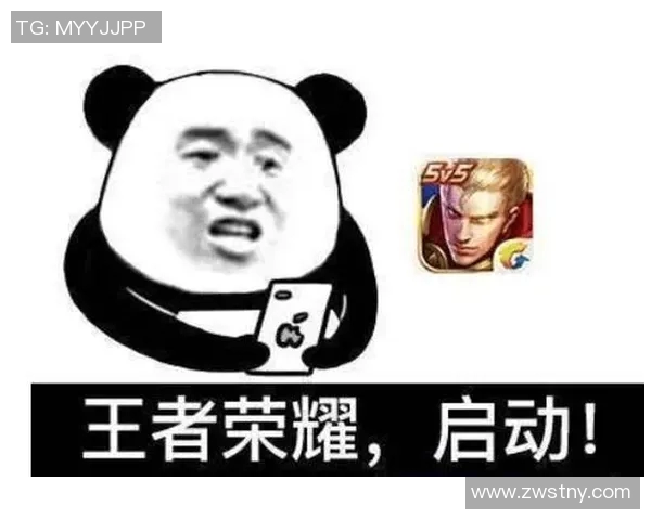 王者荣耀战术分析：深入探讨TES团队包夹策略的成功与挑战